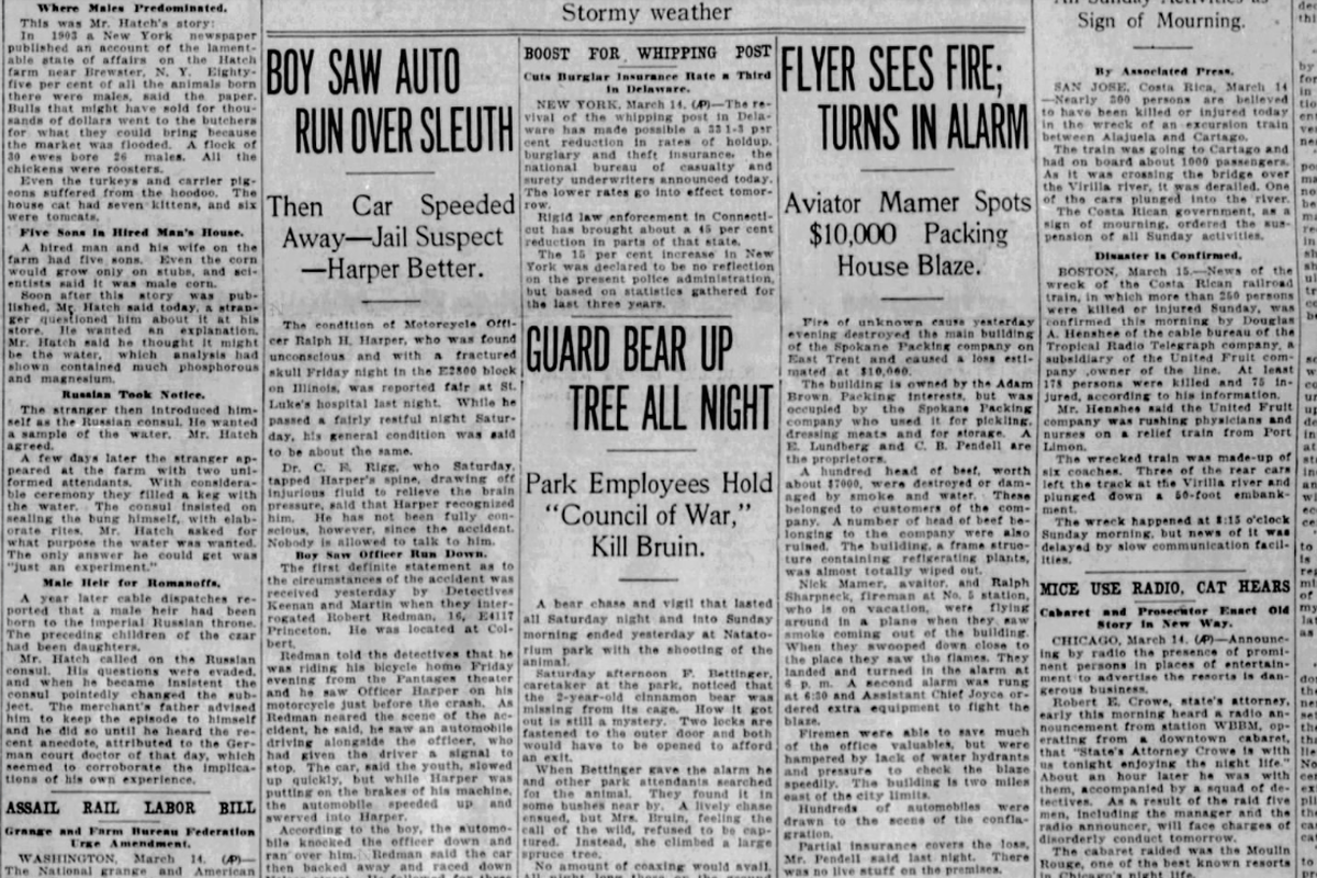 A 2-year-old cinnamon bear escaped from its cage at Natatorium Park and eventually was shot and killed after it wouldn’t come down from a tree, The Spokesman-Review reported on March 15, 1926. The newspaper also reported that a $600 reward was being offered for information leading to the arrest of the driver who struck and seriously injured a Spokane motorcycle police officer Ralph H. Harper, who suffered a broken skull when he was hit by a car in the 2800-block of East Illinois Avenue.  (Spokesman-Review archives)