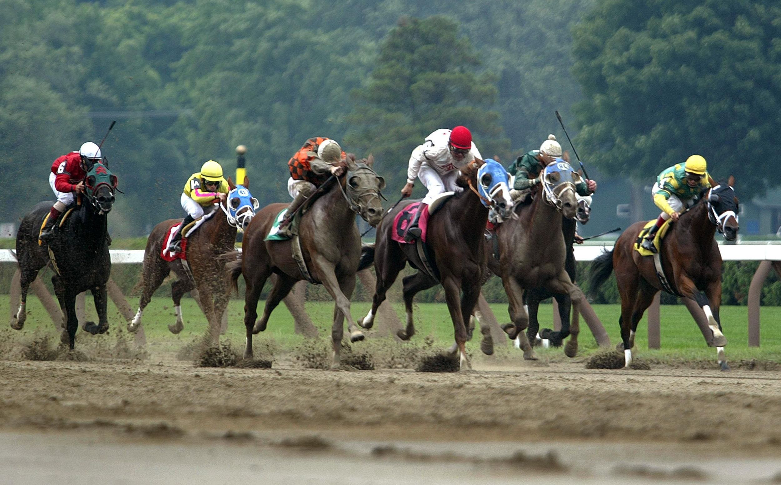 Seventh horse dies at Saratoga Race Course in less than a month The