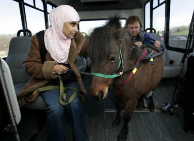 Mona Ramouni rides a bus to work with  Cali, a miniature horse being trained to guide Ramouni, who is blind,  in Lincoln Park, Mich., on Thursday.  In the background is Cali’s trainer Dolores Arste.  (Associated Press / The Spokesman-Review)