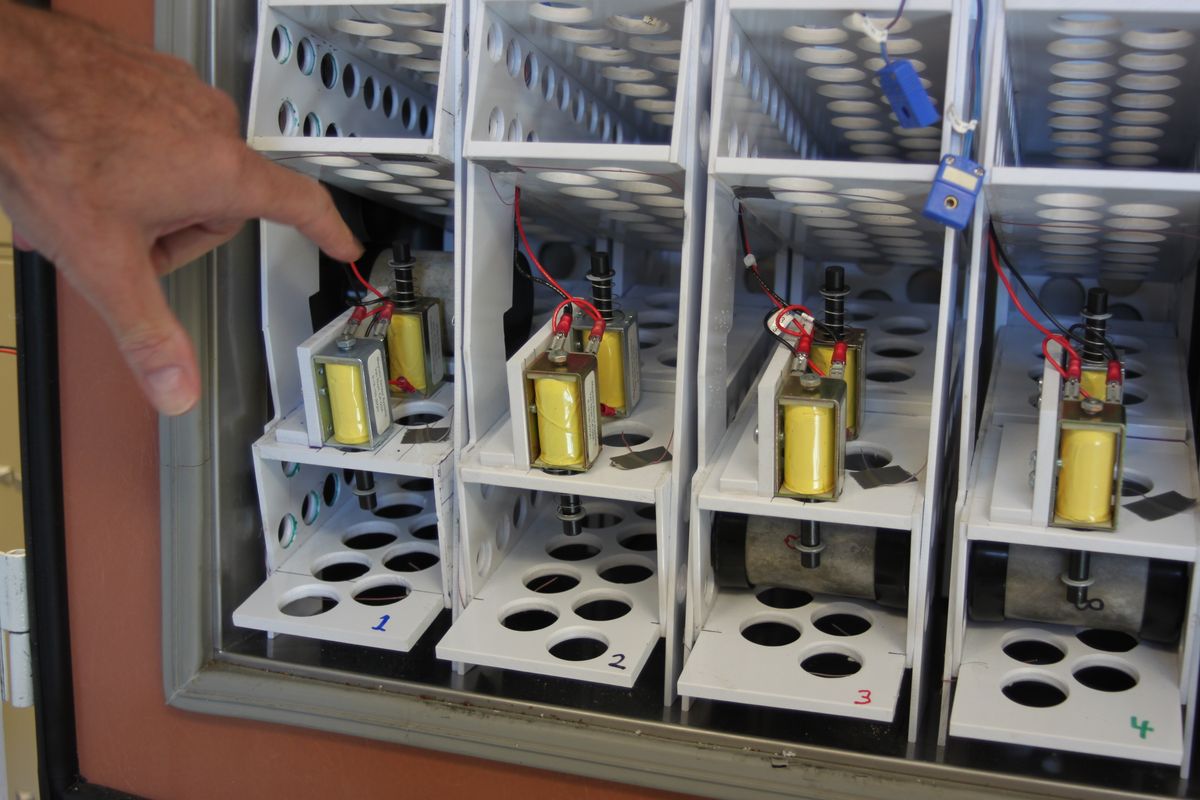 WSU researchers are developing a new measurement system to determine cold hardiness of apple and sweet cherry buds and blooms during early spring. The system’s foundation is an automated freezer sampler that can process smaller samples faster. (Associated Press)