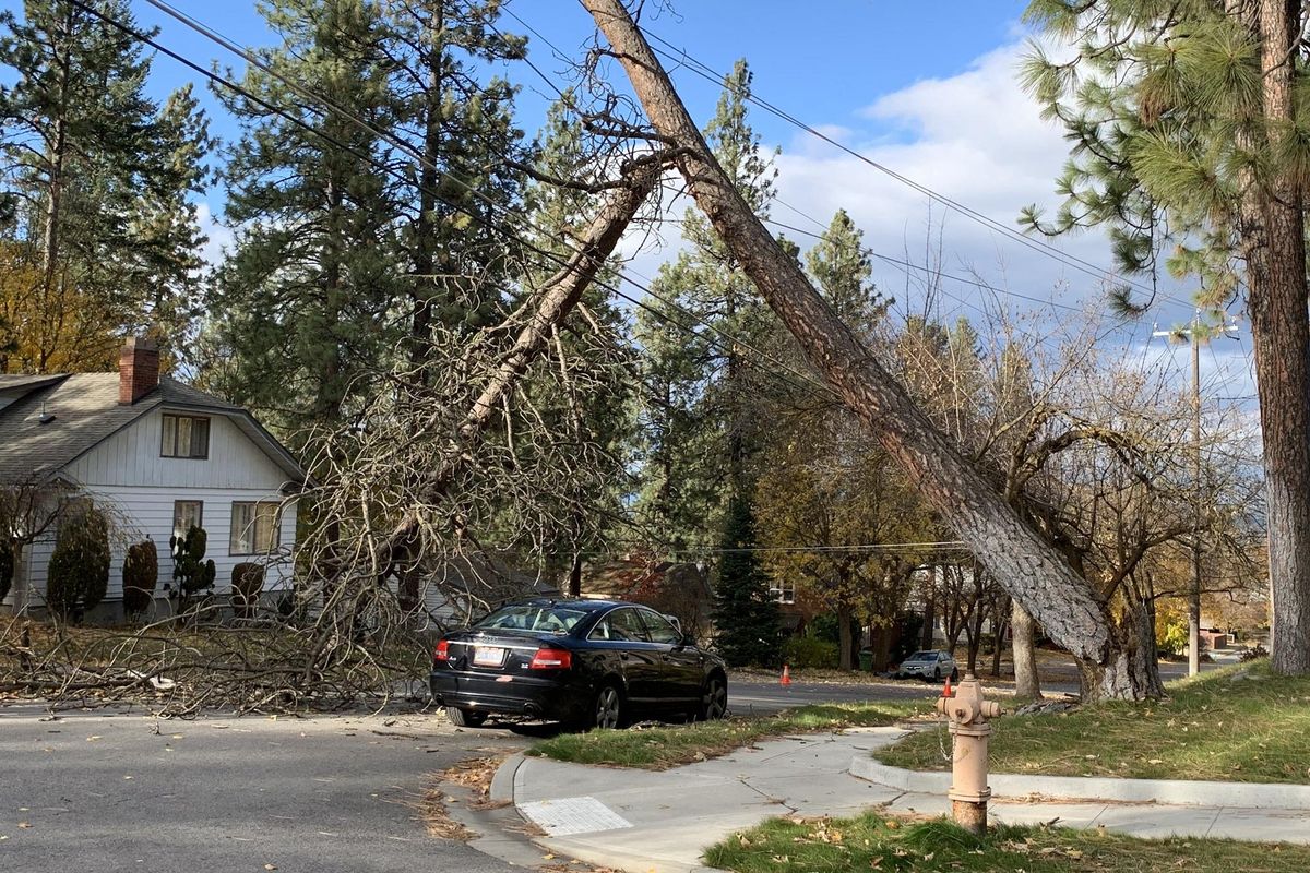 About 3,150 Avista customers living on the South Hill lost power just after 2 p.m. Friday due to a tree falling on a power line. (KHQ)