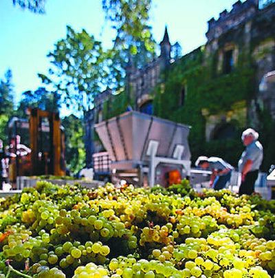 
A bin of chardonnay grapes sits outside the Chateau Montelena Winery in Calistoga, Calif.
 (File Associated Press / The Spokesman-Review)