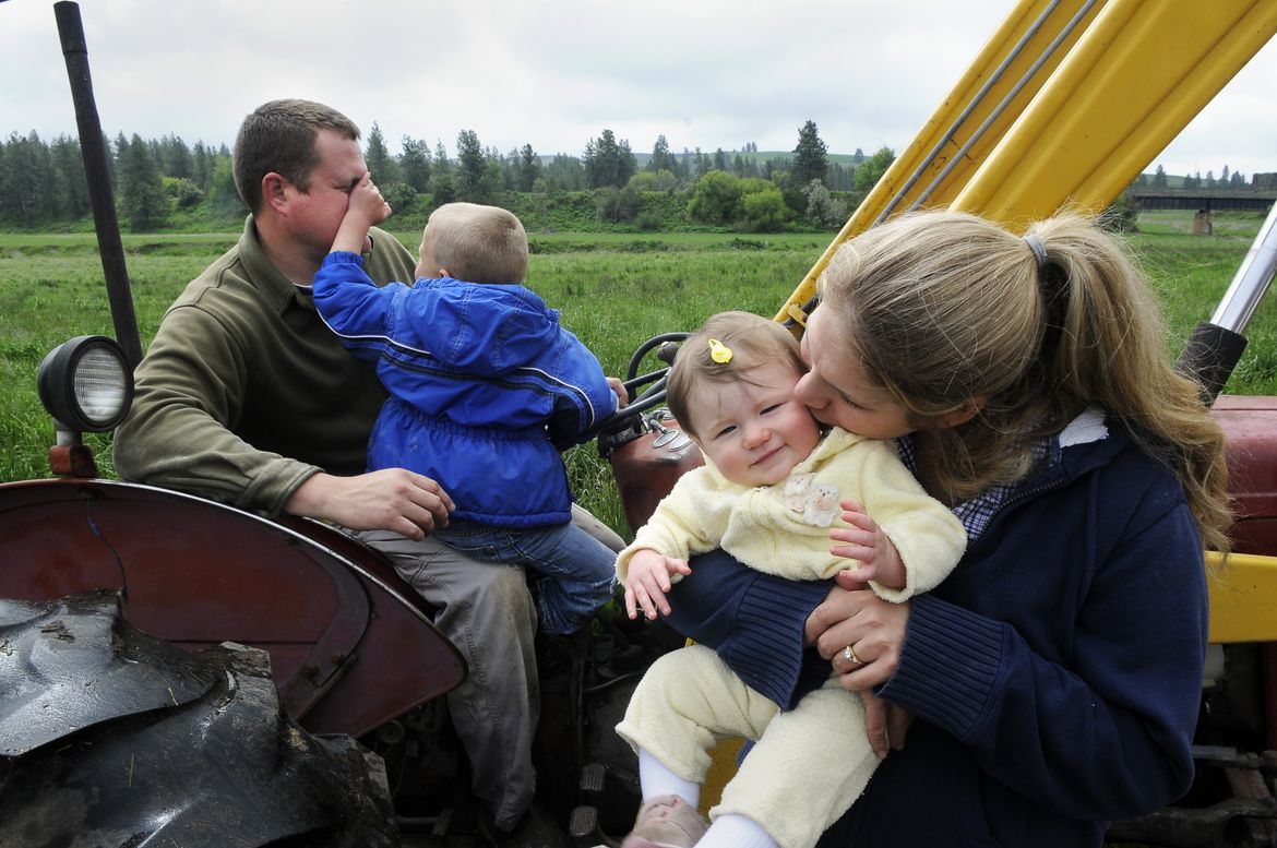  Organic Free - Range Chicken Farm - A picture story at The 