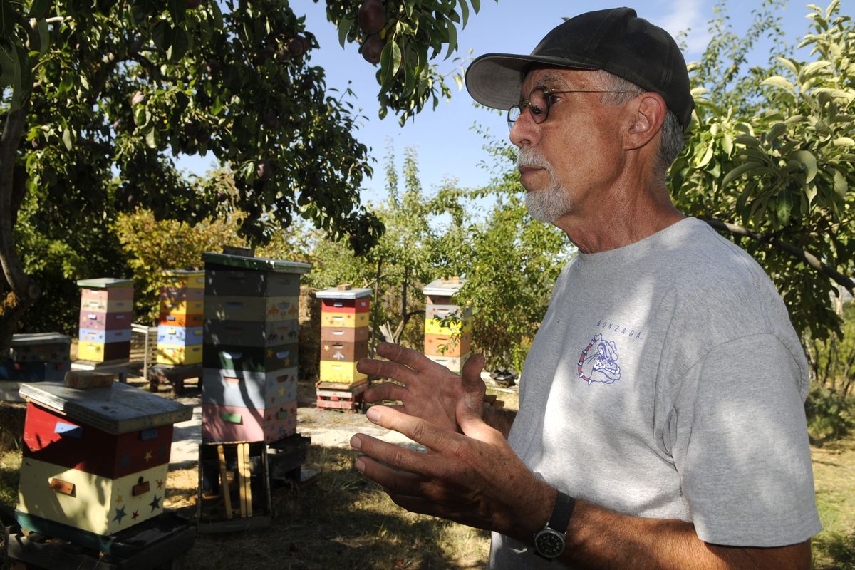 Lars Neises is an urban beekeeper on the lower South Hill in Spokane. (Dan Pelle)