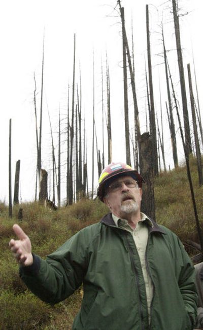 
On Saturday, Umpqua National Forest Supervisor Jim Caplan describes the circumstances that led to no salvage logging on the 1996 Spring fire, which burned 16,000 acres, two thirds of it in wilderness, near Toketee, Ore. A bill is being introduced in Congress to mandate fires over 1,000 acres be quickly salvage logged and replanted so that dead timber is not wasted and wildlife habitat is restored. 
 (The Spokesman-Review)