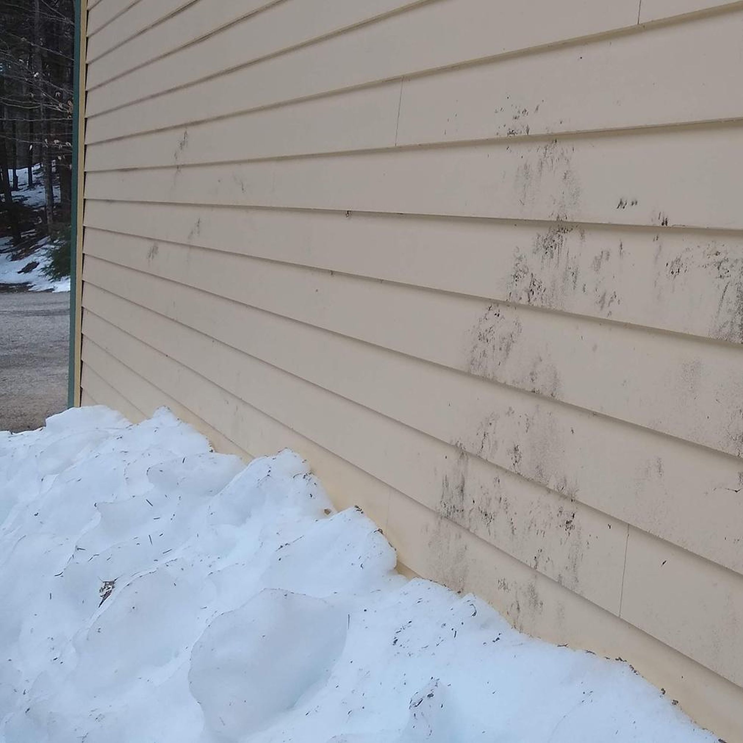 Ask the Builder: Removing mold from vinyl siding  The Spokesman