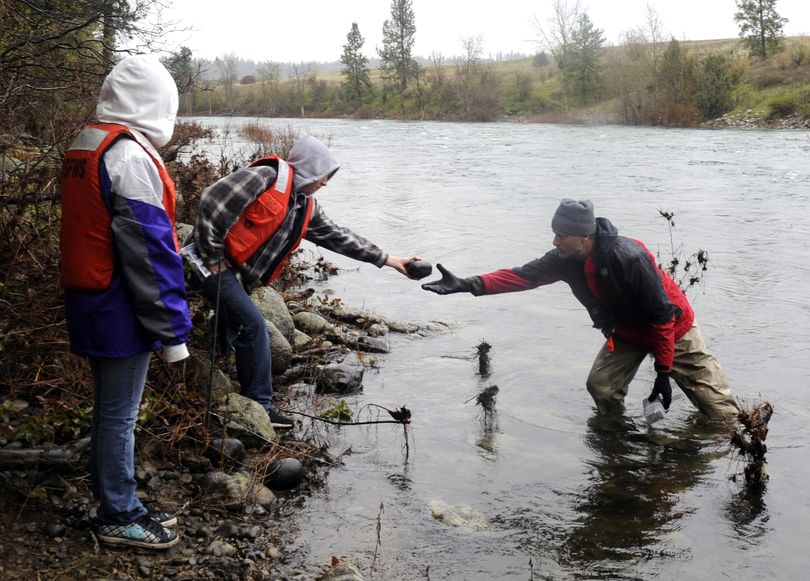 East Valley Middle School student Max Thrasher, center, hands a rock to Avista biologist Tim Vore to help weigh down a plastic mesh box containing trout eggs Friday, in the Spokane River at Mirabeau. (Jesse Tinsley)