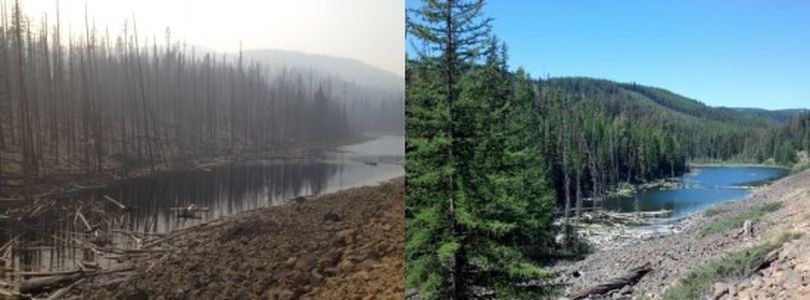 A before-after photo at Naneum Lake near Ellensburg hints at the impact of the Table Mountain Fire, which spread over thousands of acres along with other fires in the Ellensburg-Leavenworth-Wenatchee area ignited by lightning storms around Sept. 9, 2012.
 (Mike Williams / Washington Department of Natural Resources)