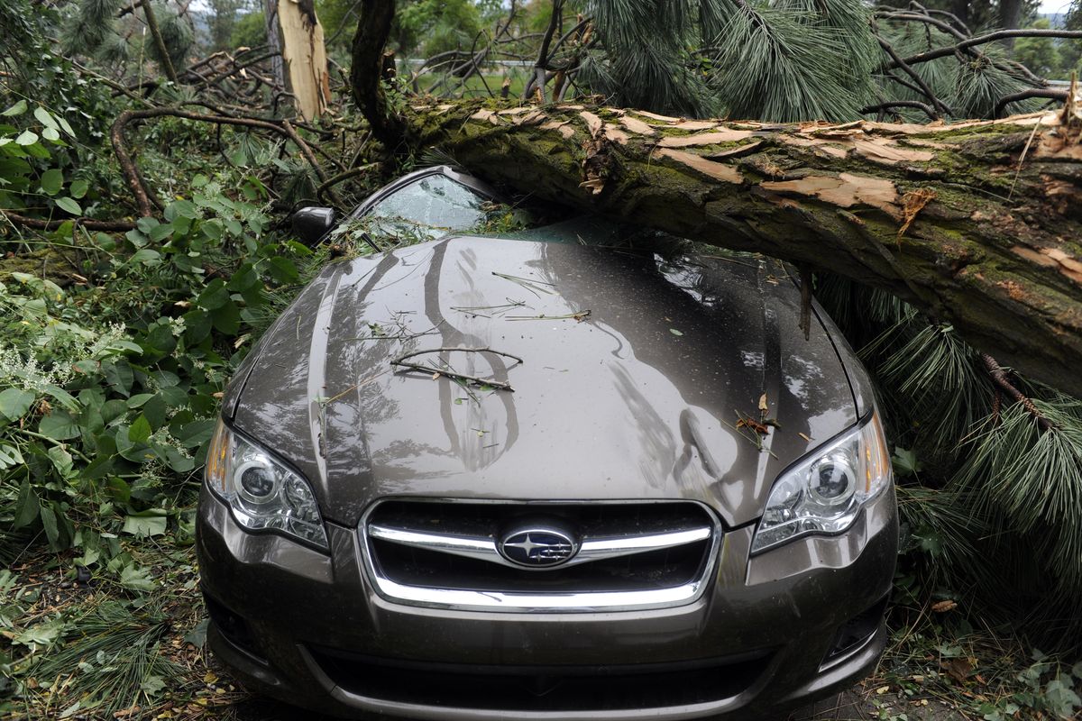 A late-model Subaru lies crushed Monday beneath a pine tree that came down on Adams Street near 21st Avenue on Spokane’s South Hill Sunday night in a wild windstorm. No one was injured. (Jesse Tinsley)