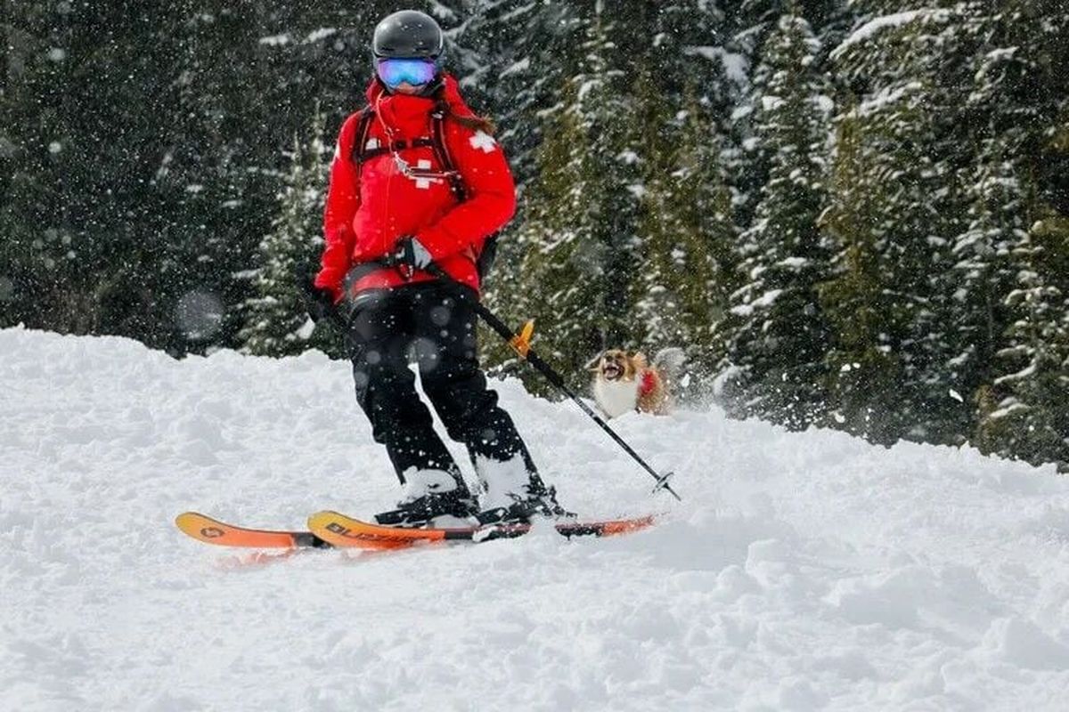 Kio tries to keep pace with her patroller Alisha Bator as they come down a run in heavy, wet snow at Crystal Mountain Resort on March 28. (Jennifer Buchanan/Seattle Times)