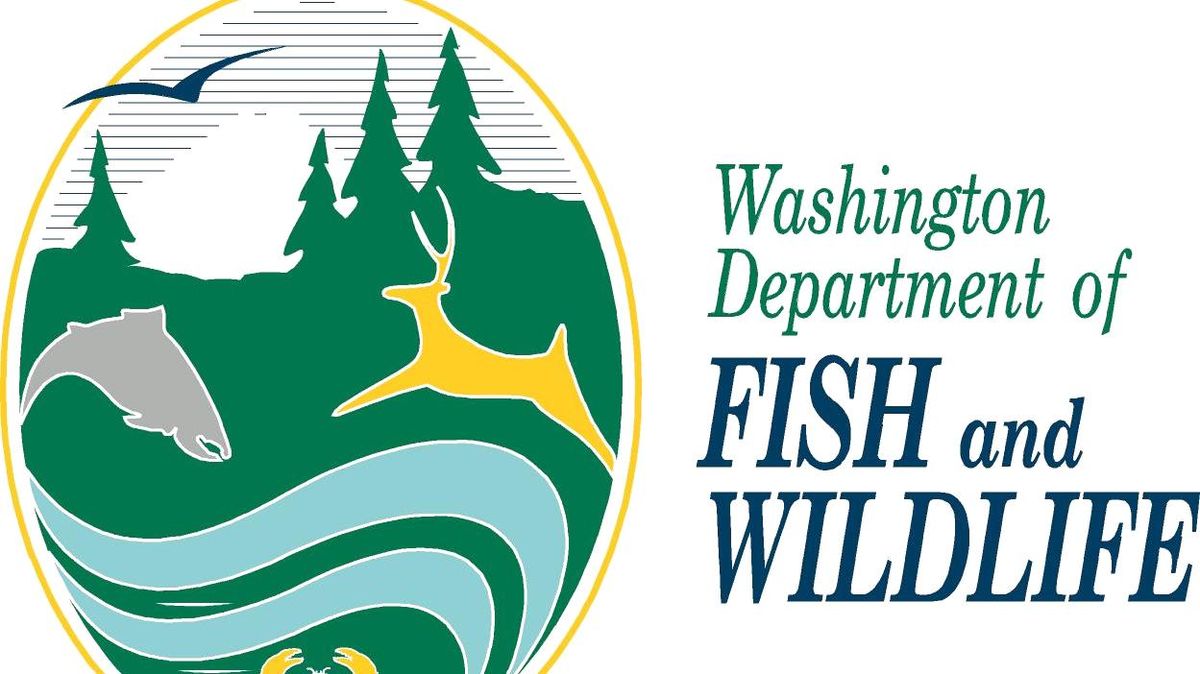 WDFW receives full funding from Legislature | SWX Right Now - Sports