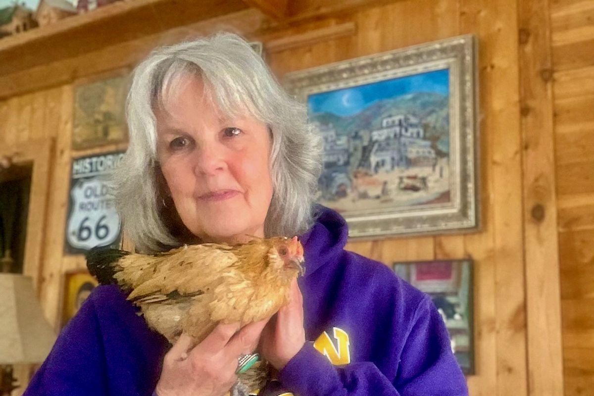 Marsi Parker Darwin snuggles Peanut, the world’s oldest living chicken, at home in Michigan. MUST CREDIT: Courtesy of Marsi Parker Darwin  (Courtesy of Marsi Parker Darwin/Handout)