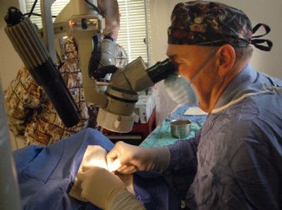 
Bill Yakely performs surgery on Wally. Yakely will be having surgery on his own cataracts next week. 
 (Amanda Smith / The Spokesman-Review)