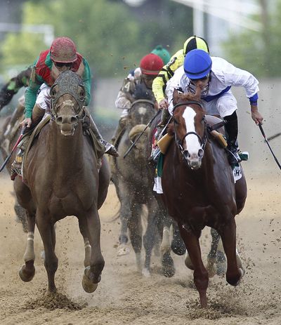 Shackleford, right, ridden by Jesus Castanon, works down the stretch in front of Animal Kingdom, left, ridden by Mike Smith, in front of the rest of the pack during 136th Preakness Stakes on Saturday. (Associated Press)