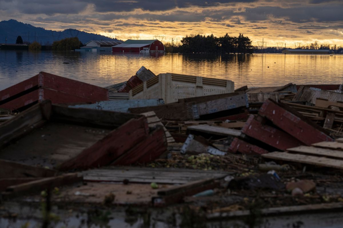 Debris is piled up as farms are surrounded by floodwaters caused by heavy rains and mudslides in Abbotsford, British Columbia, Friday, Nov. 19, 2021.  (JONATHAN HAYWARD)