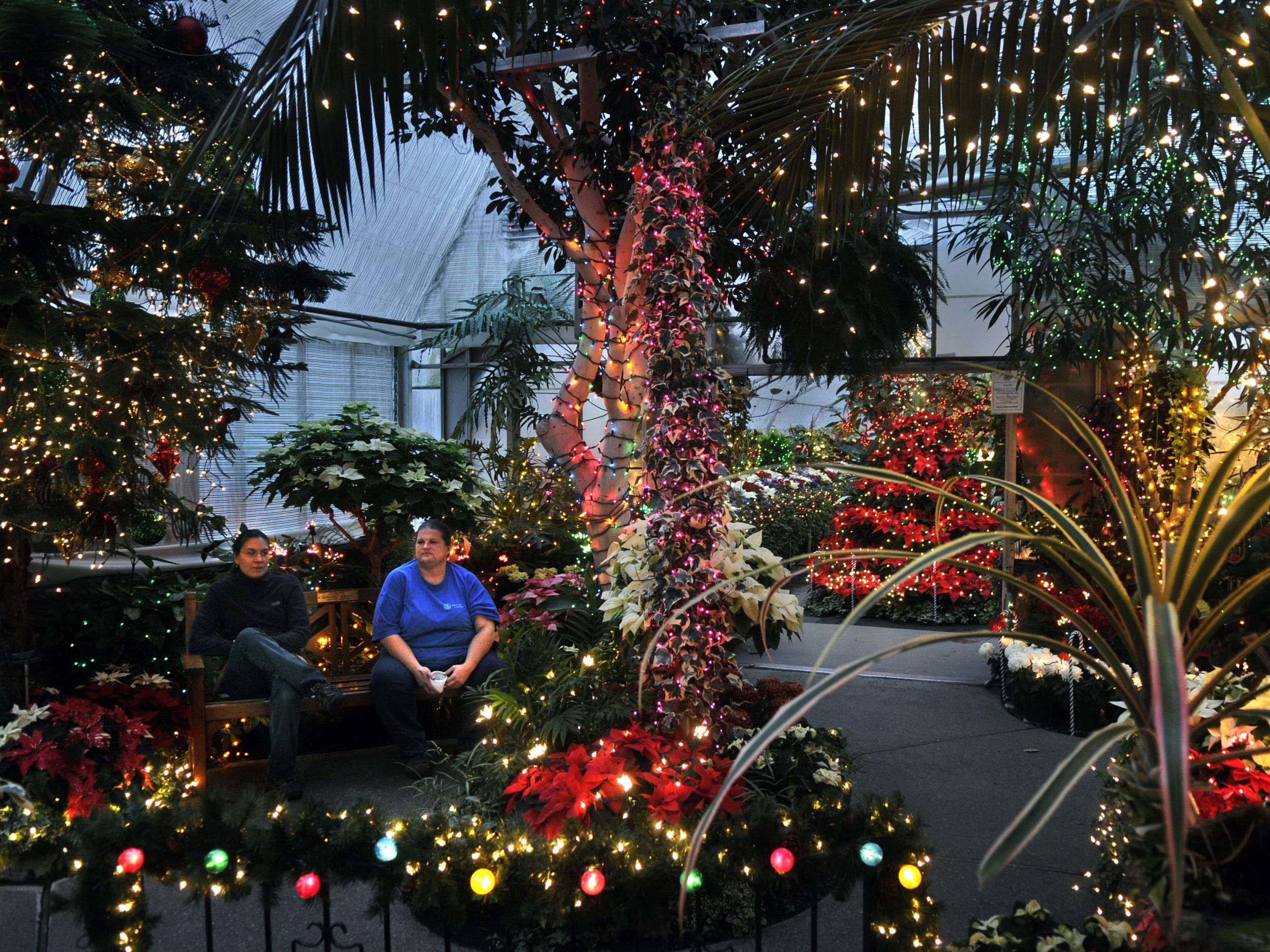 manito park christmas lights 2020 Many Hands Make Holiday Lights Work The Spokesman Review manito park christmas lights 2020