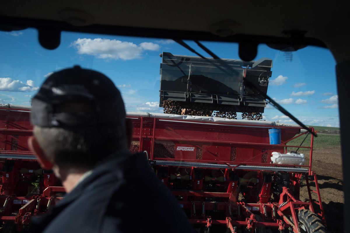 Potato Planting at Warden Hutterite Colony April 23, 2017 The