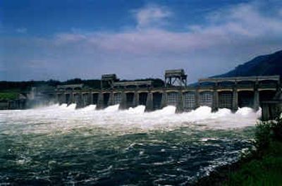 
Columbia River waters flow through spillway gates of the Bonneville Dam in Bonneville, Ore., in 1995. 
 (File/Associated Press / The Spokesman-Review)