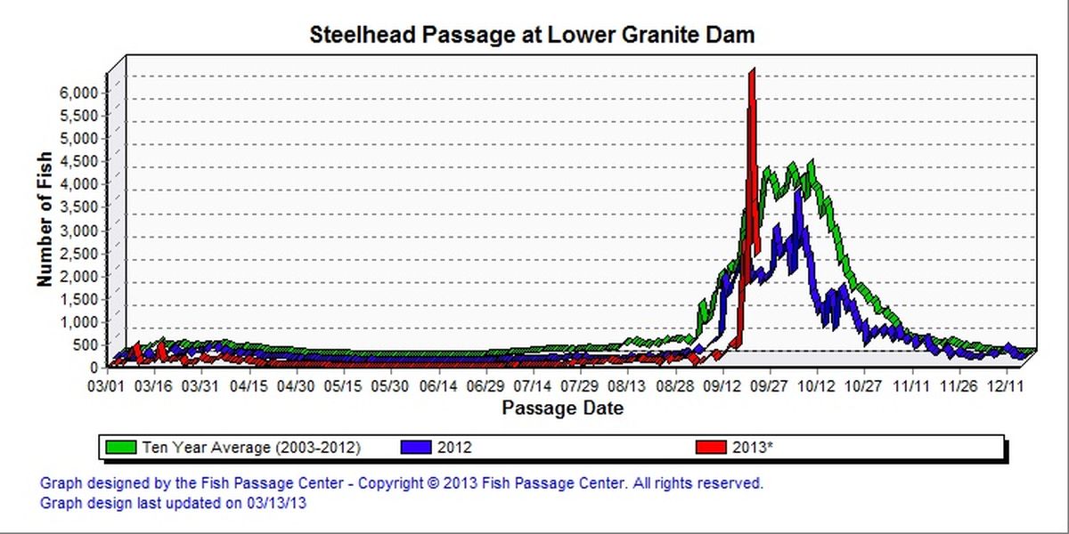 Steelhead counts at Lower Granite Dam as of Sept. 23, 2013. (Fish Passage Center)