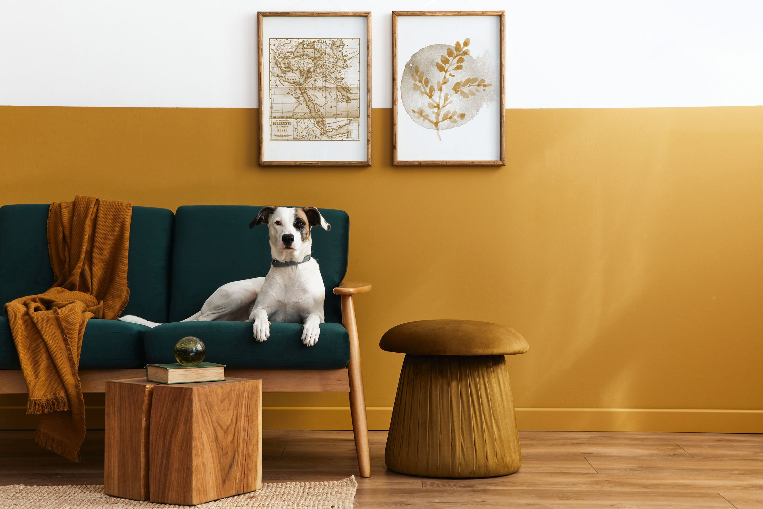 The best pet-friendly fabrics and finishes to protect your furniture ...