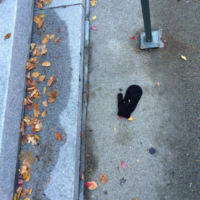 Every mitten has a story.