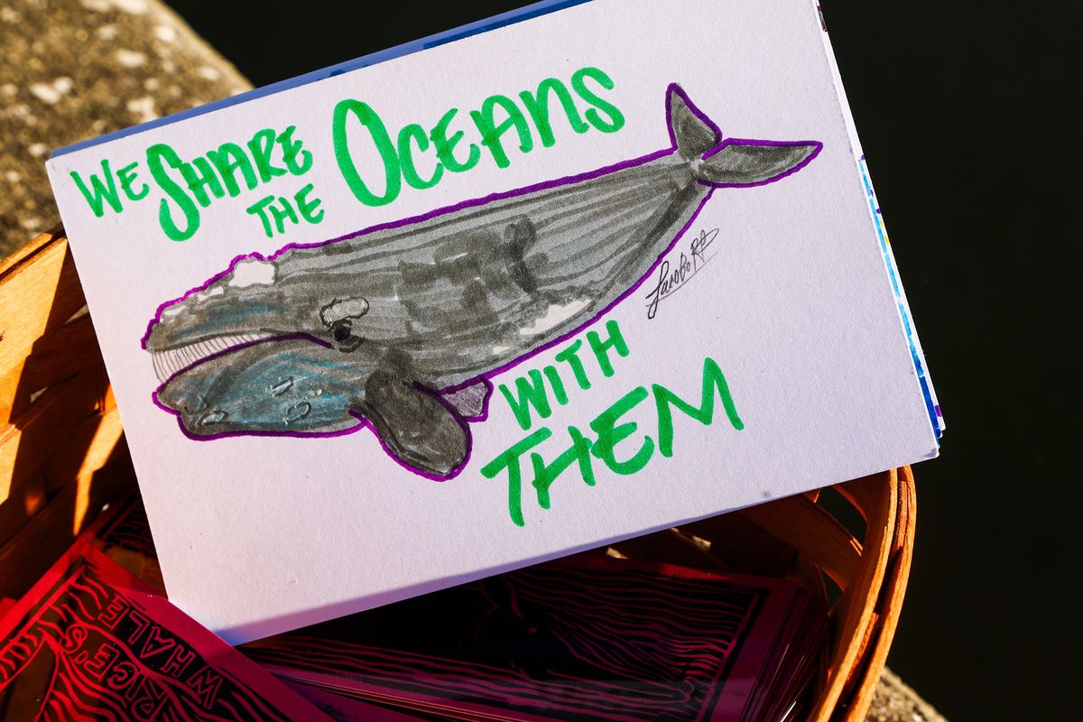 Cards with pictures of whales created by local public school students displayed by Madison Wurthner, a USF first year marine biology major, along the Bayboro Harbor on Dec. 1, in St. Petersburg, Fla. (Tampa Bay Times )