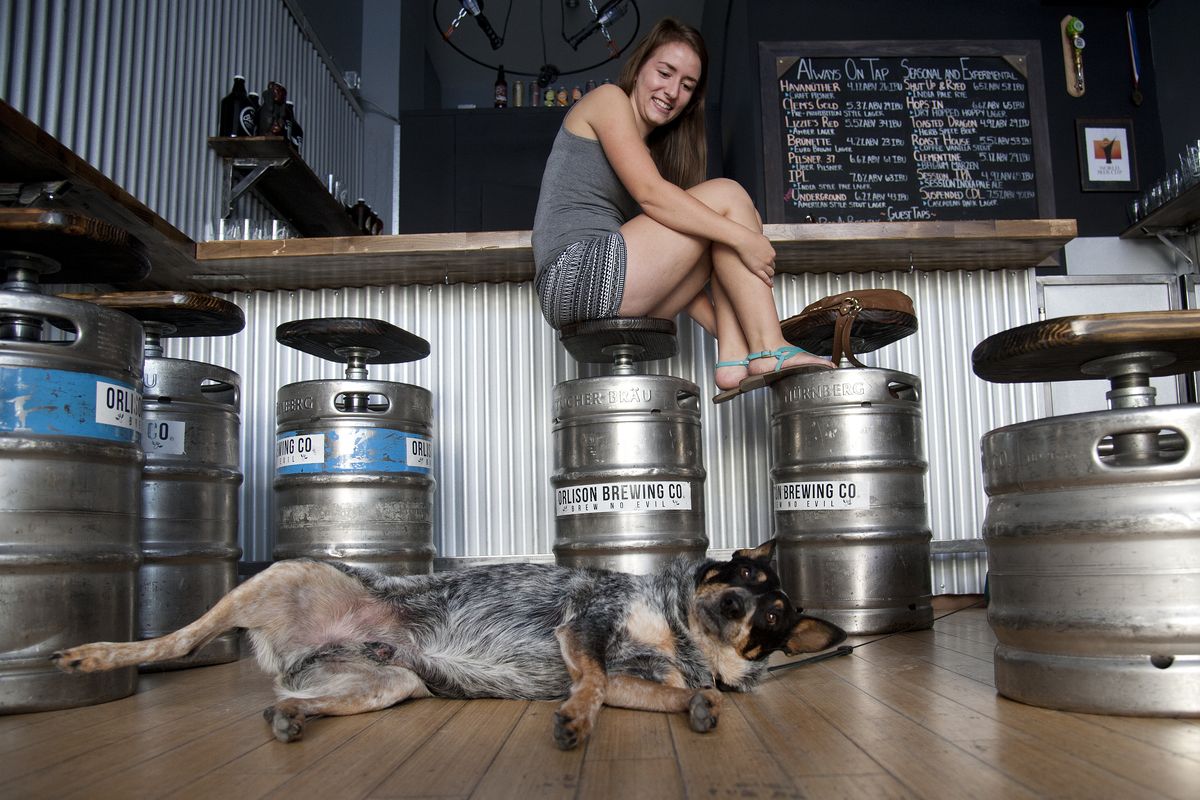 Orlison Brewing Co. bartender Rene Schade’s dog, Ryker, pays a visit to the new taproom at 1017 W. First Avenue.
