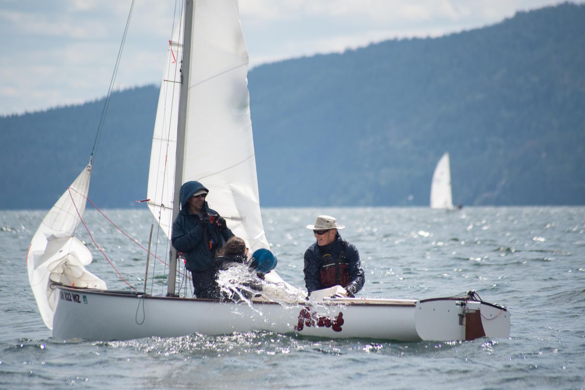 thistle sailboat review