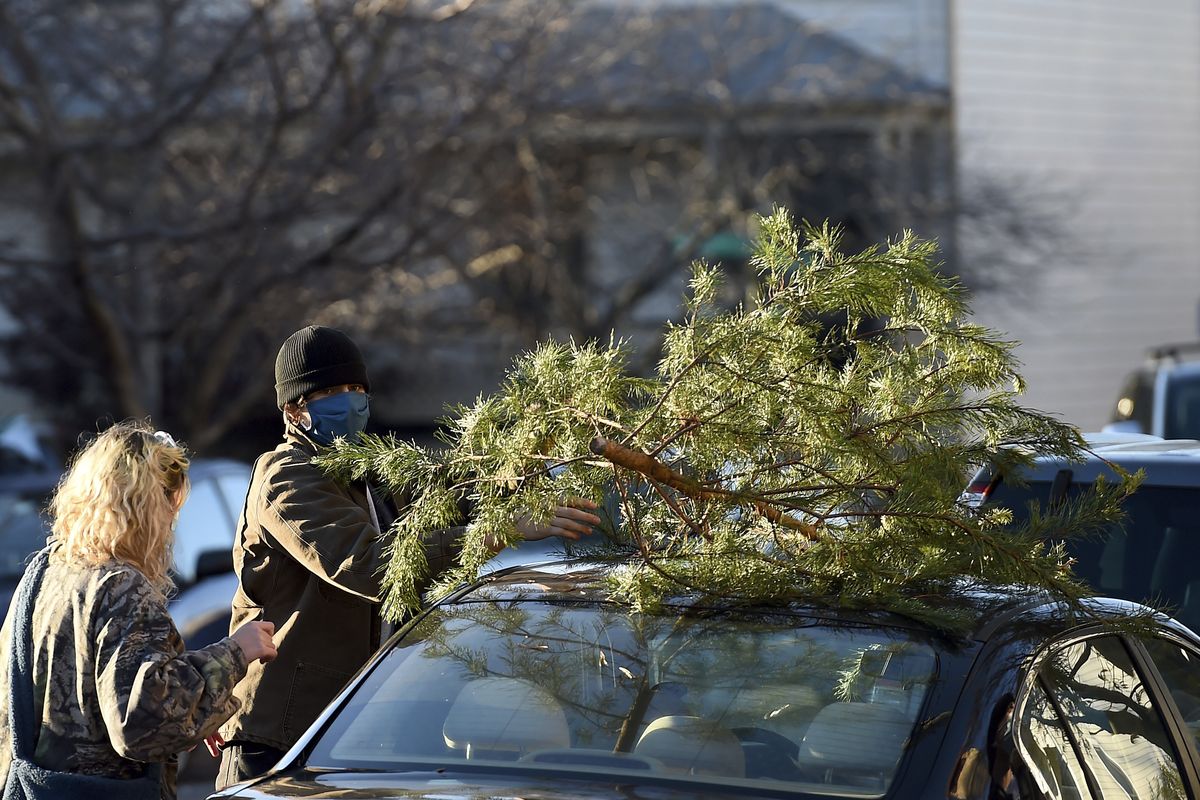 Parker Vivier and Marsden Olsen, both of Richmond, prepare to tie their tree to their car after purchasing from Frank Pichel