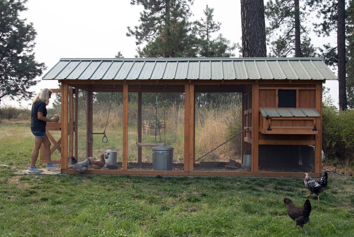 Pandemic project A family builds chicken coop for the ages Sept. 24
