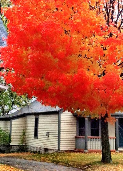  (Photo courtesy of Kaki Smith)