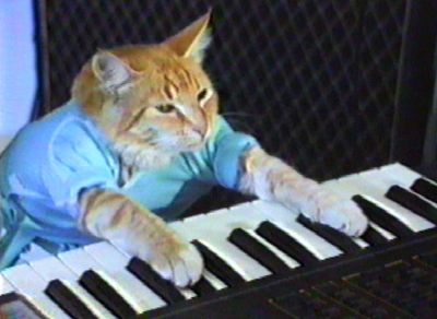 The late, great Fatso the Keyboard Cat is now an Internet sensation thanks to the music video Charlie Schmidt recorded back in the early 1980s in Spokane. Courtesy of Charlie Schmidt (Courtesy of Charlie Schmidt / The Spokesman-Review)