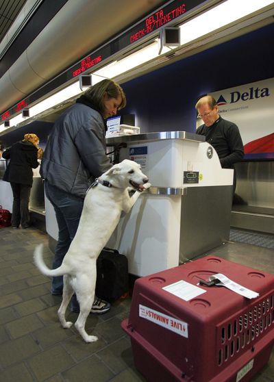 Tara Zimmerman, left, of New York, and her dog Pablo check in at LaGuardia Airport in New York.  (Associated Press / The Spokesman-Review)