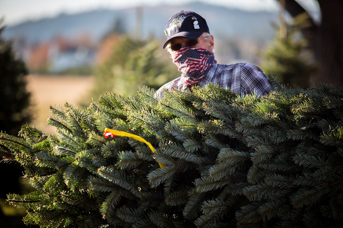 Brian Suitor lugs his just-purchased noble fir to his Ford F-250 pickup truck on Sunday at Hutton Settlement’s annual Christmas tree sale in Spokane.  (Libby Kamrowski/ THE SPOKESMAN-REVIEW)