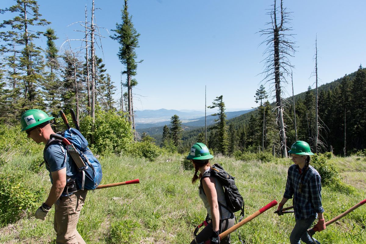 Volunteers hike to their work spot on Mica Peak, Sunday June 3, 2018. Washington Trail Association volunteers have started building single-track trails that will eventually connect several old logging roads. (Eli Francovich / The Spokesman-Review)