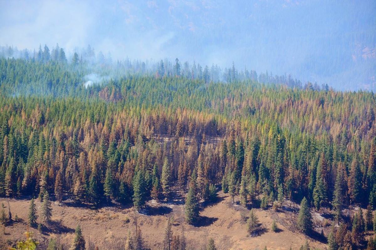 Wildfire burning in the Grizzly Bear Complex of the Blue Mountains. (U.S. Forest Service)