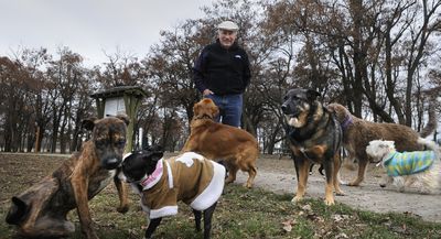 Bob Macdonald  and his dog Jake, third from right, visit with other dogs of all breeds Friday  at the Gateway Park at Stateline. Macdonald and others hope to have a dog park of their own in Coeur d’Alene.  (Dan Pelle / The Spokesman-Review)