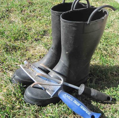 A no-show winter brings spring gardening daydreams to backyard gardeners. (Cheryl-Anne Millsap / Down to Earth NW)