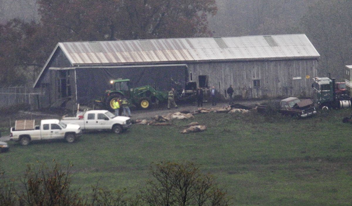 Investigators walk around a barn as carcasses lay on the ground at The Muskingum County Animal Farm Wednesday, Oct. 19, 2011, in Zanesville, Ohio. Police with assault rifles stalked a mountain lion, grizzly bear and monkey still on the loose after authorities said their owner apparently freed dozens of wild animals and then killed himself. (Tony Dejak / Associated Press)