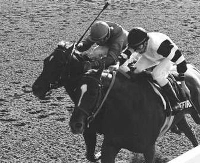 Steve Cauthen on Affirmed, right, used the left hand to hold off Alydar in the '78 Belmont. Associated Press
(Associated Press / The Spokesman-Review)