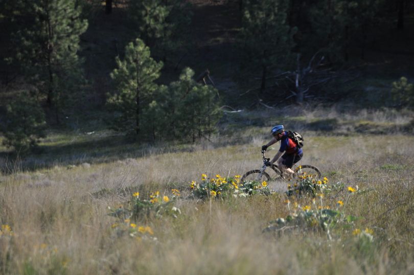 Mountain biking is popular on the South Hill bluff trails. (Rich Landers)