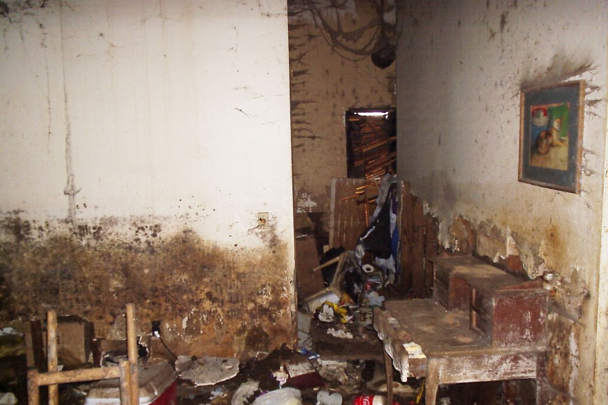 This undated photo provided by the Oklahoma City County Health Department shows the interior of the home of Kitty Lewis. The Oklahoma City woman’s decomposing body was found in the mold- and cat-infested home in May. Associated Press photos (Associated Press photos)