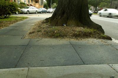 
A rubberized sidewalk surrounds a large tree in Washington, D.C. More communities are turning to rubberized sidewalks as they face shrinking landfill space and a maturing urban landscape. 
 (Associated Press / The Spokesman-Review)