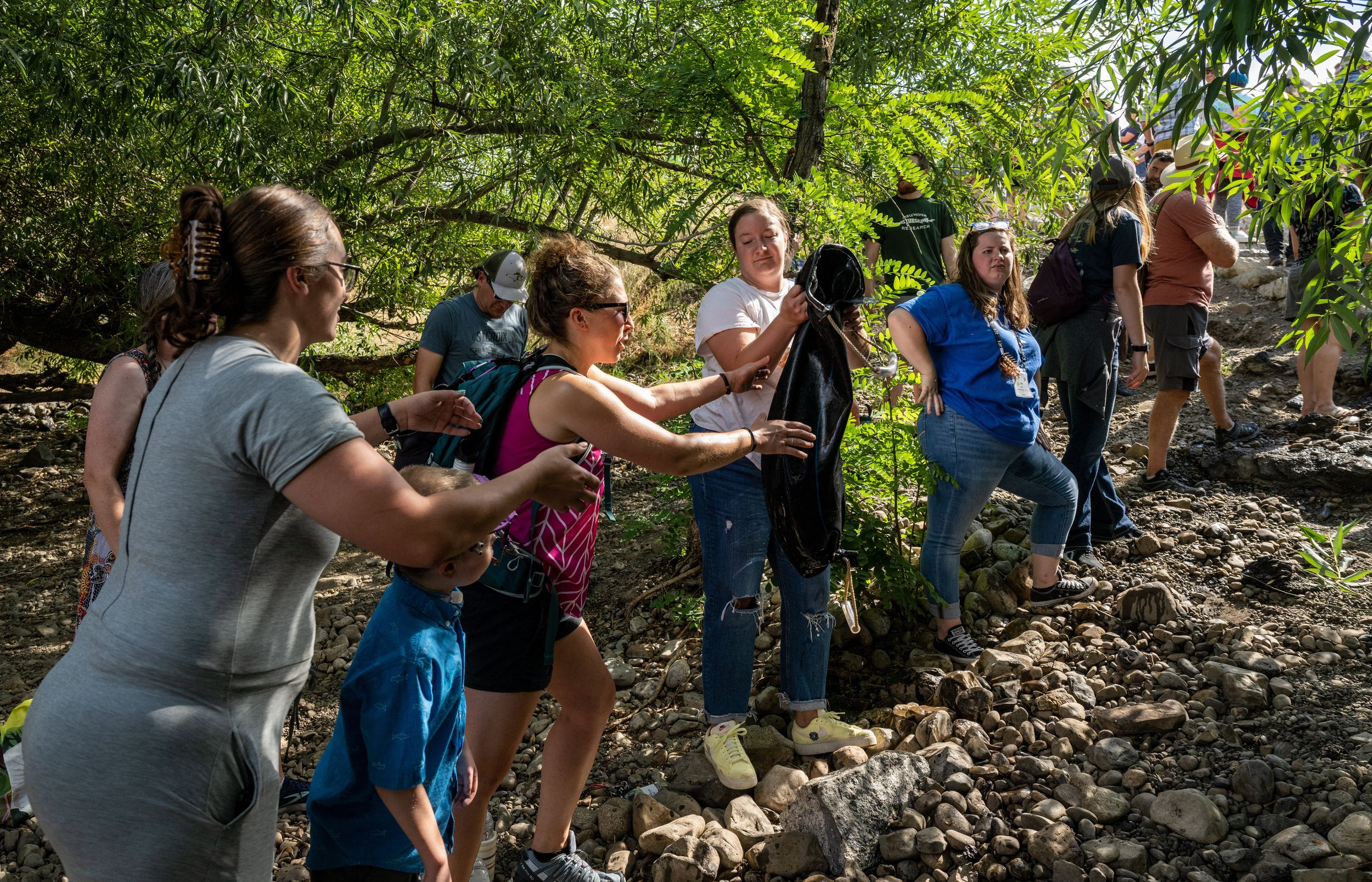 Spokane Tribe releases 150 Chinook salmon into Spokane River Aug. 24