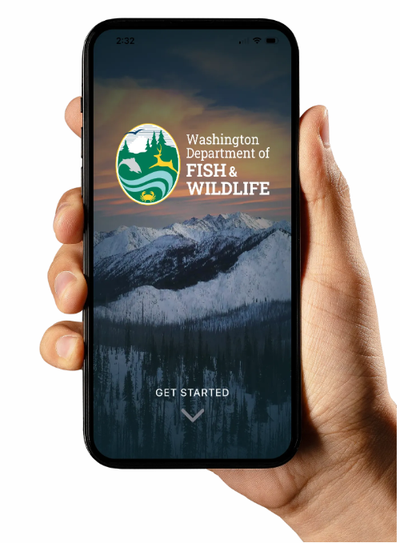 The Washington Department of Fish and Wildlife is launching a new mobile app that will allow users to hold and display digital copies of their hunting and fishing licenses.  (Screenshot from WDFW website)