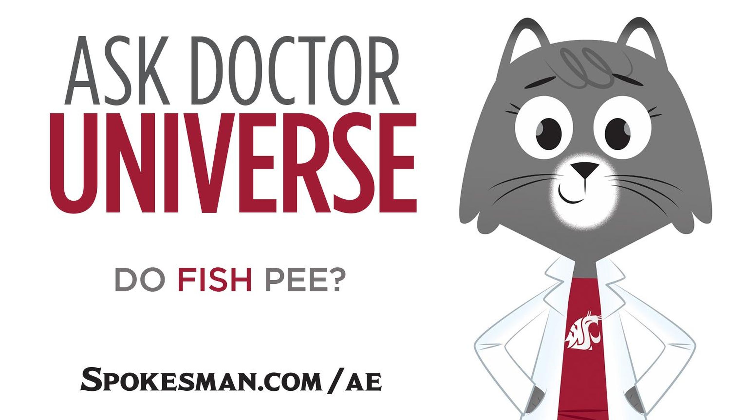 Ask Dr. Fish