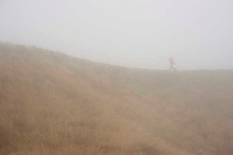 Rich Landers cruises the edge of a wheat field as he hunts pheasants on a foggy November day in the Palouse. (Torsten Kjellstrand)