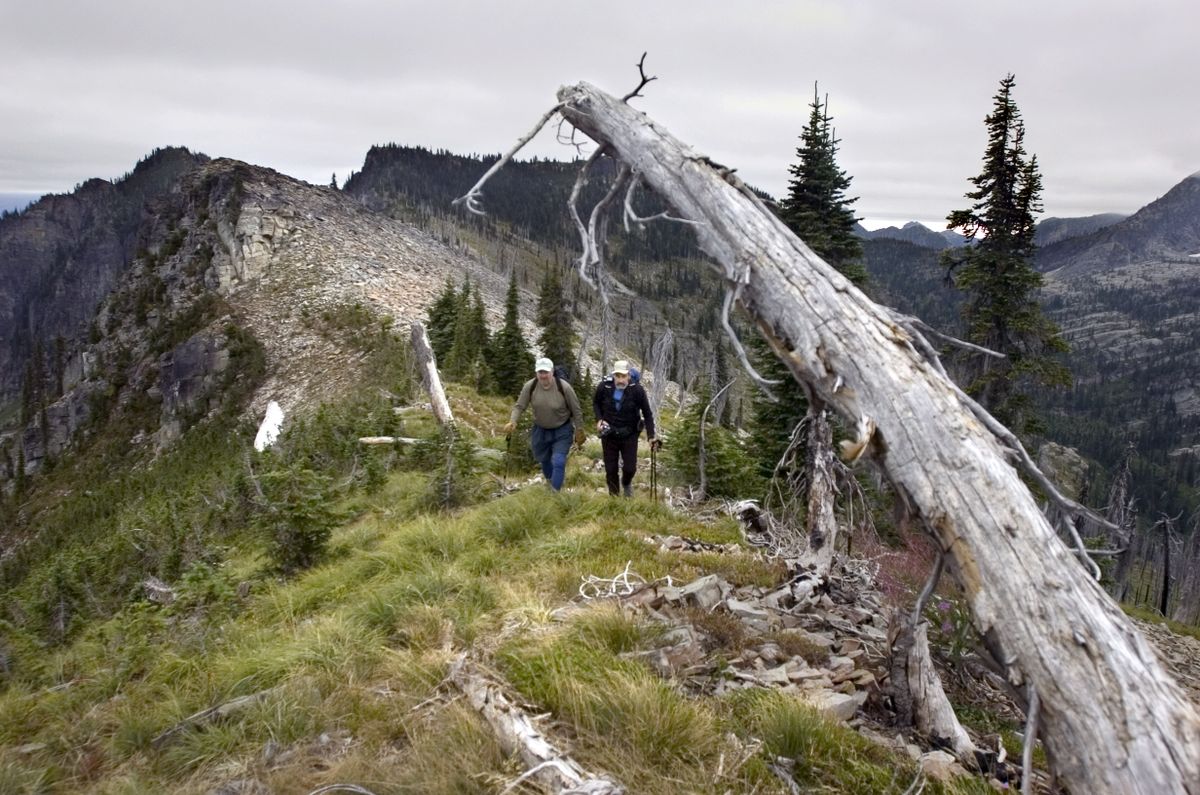 No hike around Lake Pend Oreille offers a higher, tougher or more rewarding experience than the trail up Scotchman Peak near Clark Fork. Friends of the Scotchman Peaks Wilderness is leading trips here this summer. (File / The Spokesman-Review)