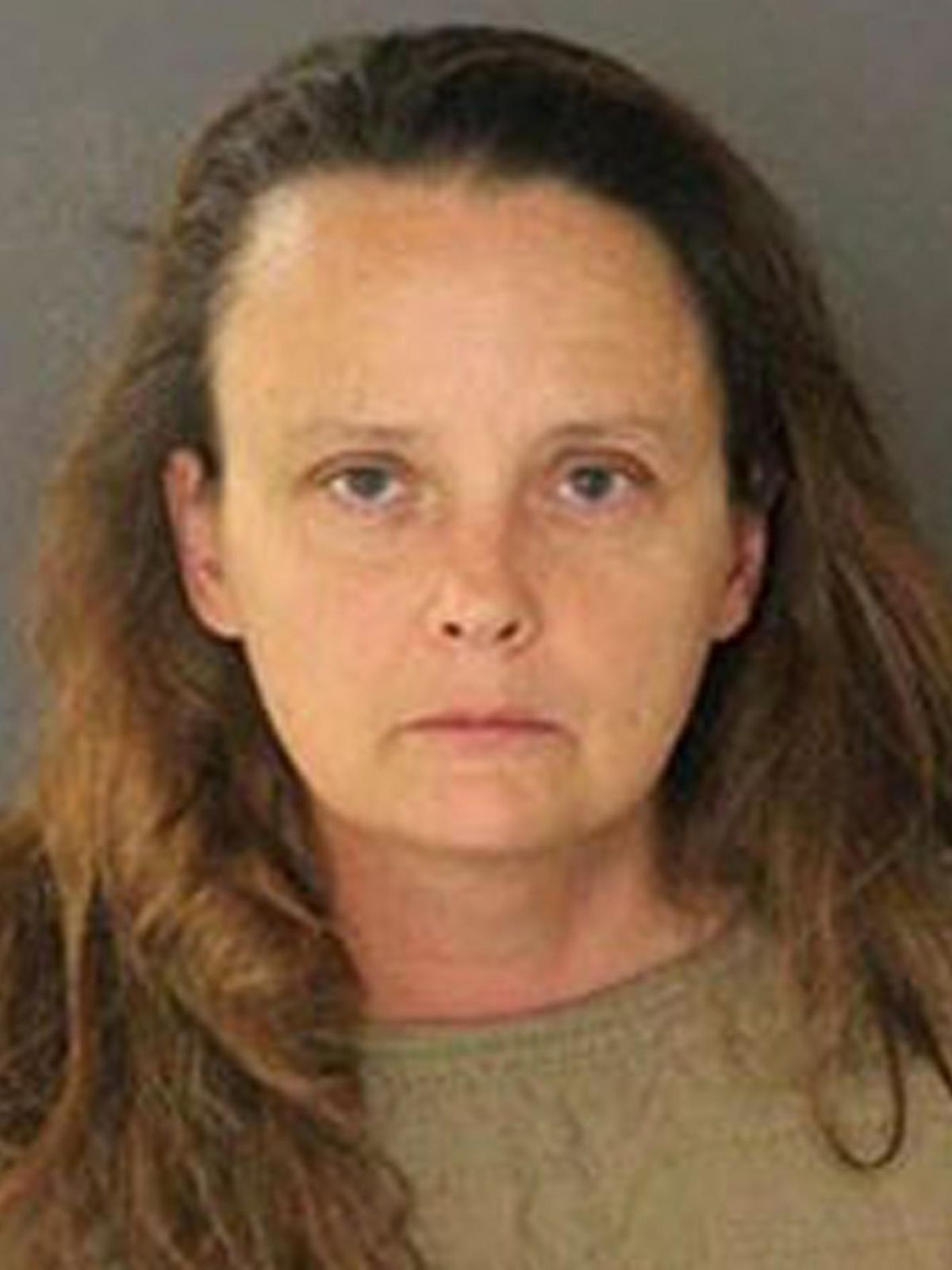 This photo released Thursday, Aug. 3, 2017, by San Jose Police Department shows suspect Gail Burnworth, a resident of Tacoma, Wash., who was one of two people arrested after a sharp-eyed airline passenger saw another traveler texting about sexually assaulting children. San Jose police say they arrested 56-year-old Michael Kellar in the citys airport Monday night after a flight from Seattle. Officers arrested 50-year-old Gail Burnworth in her Tacoma home. (San Jose Police Department)