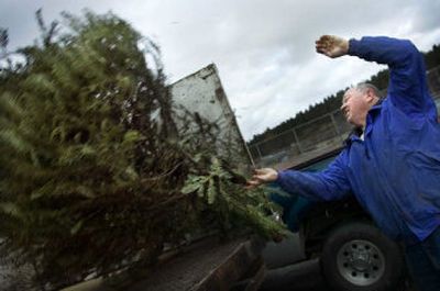 
East Valley High School parent Nate Dodson tosses a Christmas tree into a truck in front of the school Thursday afternoon during a Christmas tree recycling fund-raiser for the senior all-night party. Some groups are finding it more difficult to raise money with tree recycling fund-raisers. 
 (Holly Pickett / The Spokesman-Review)